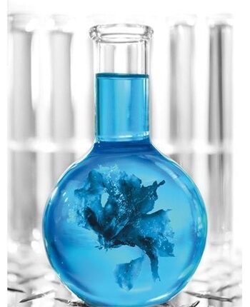 Thalgo Prodige Des Oceans Ansigtscreme til Kvinder - 50 ml