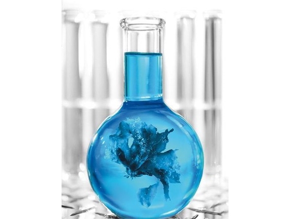 Thalgo Prodige Des Oceans Ansigtscreme til Kvinder - 50 ml